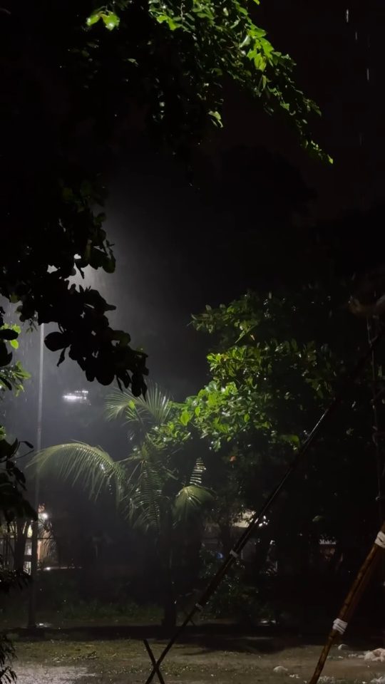Rainy nights lyric video template preview